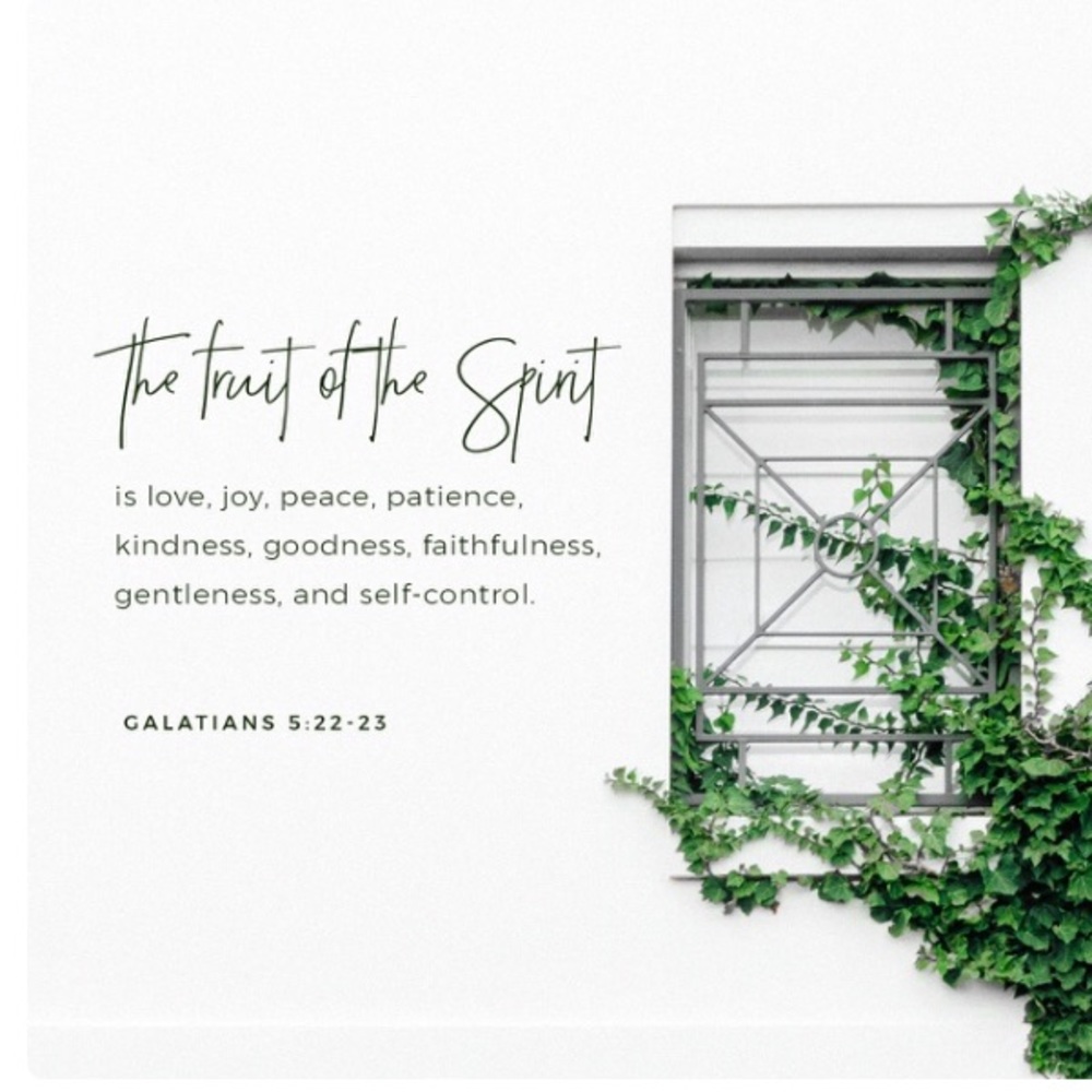 Gal 5:22-23